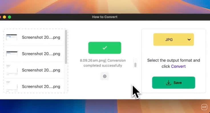 Batch file conversion interface