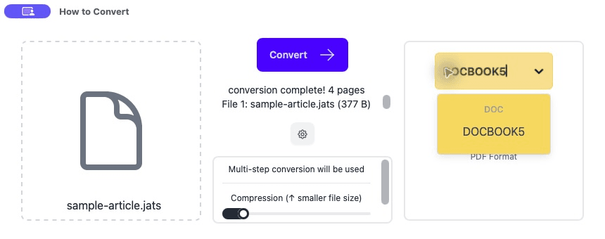 Choosing DOCBOOK5 as the output format