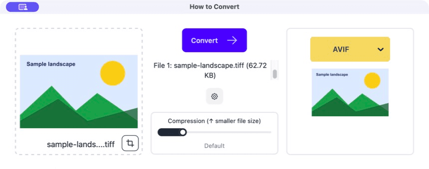 A TIFF image loaded in How to Convert