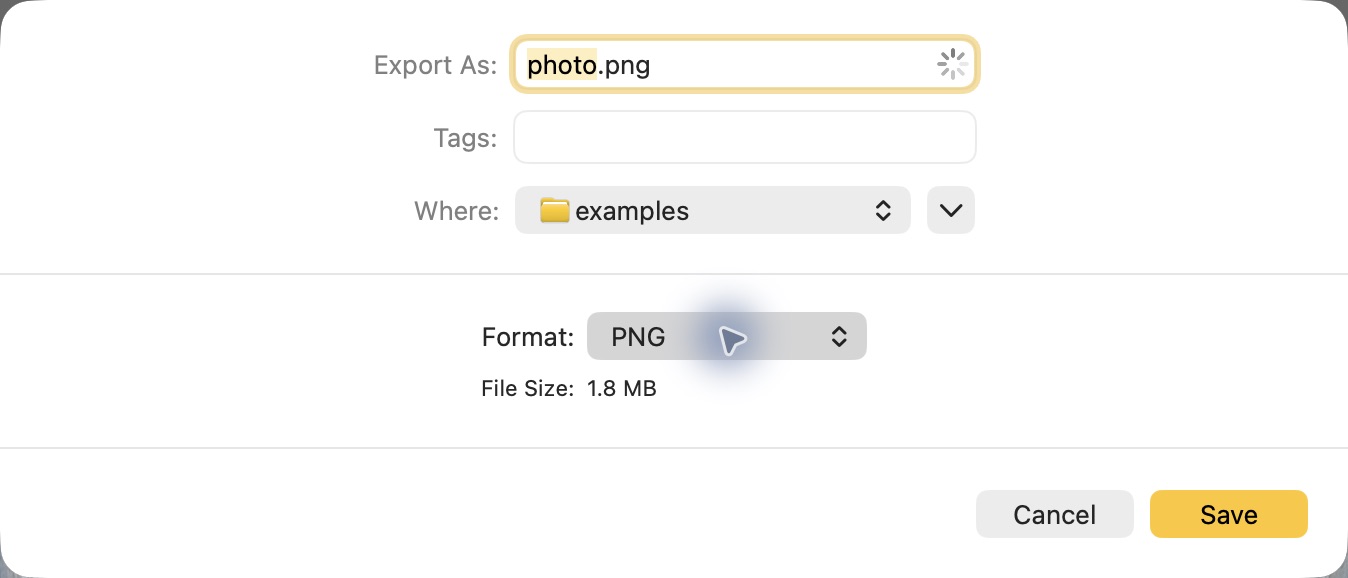 Preview’s export dialog: choose a Format and click Save.